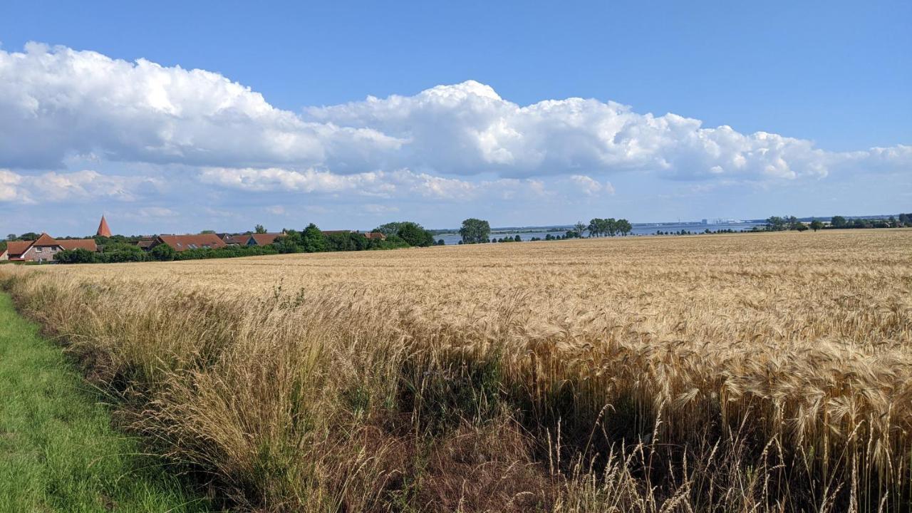 Ferien Auf Der Insel Poel Apartment Kirchdorf  Bagian luar foto
